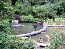 池のある庭